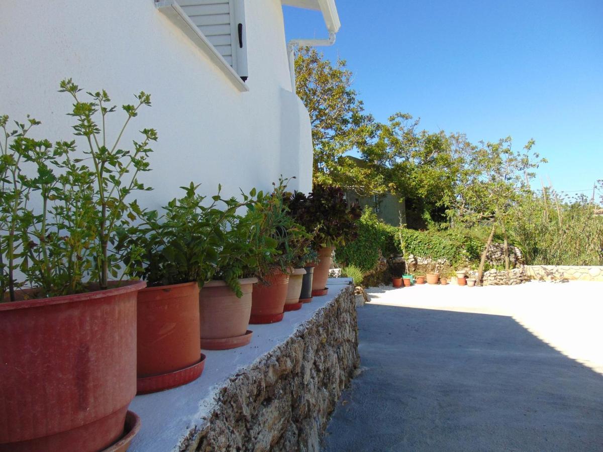 Feriehus Zante Hideaway I Nearby Shipwreck